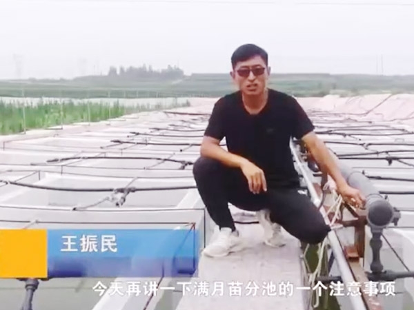 CMD368体育满月苗的注重事项