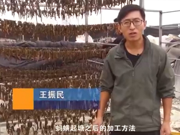 CMD368体育加工要领